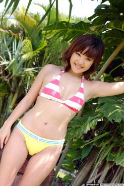 后备计划